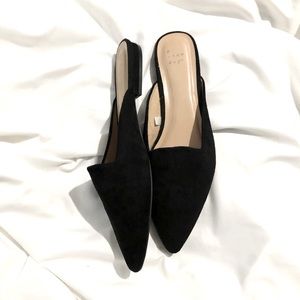 A NEW DAY TARGET MULES